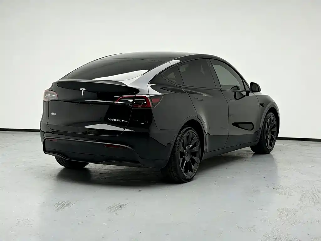 Tesla Model Y — миниатюра 3