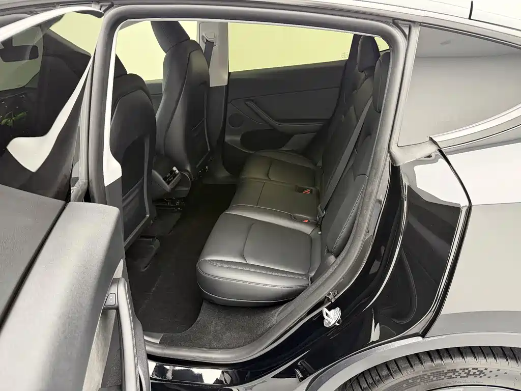 Tesla Model Y — миниатюра 14