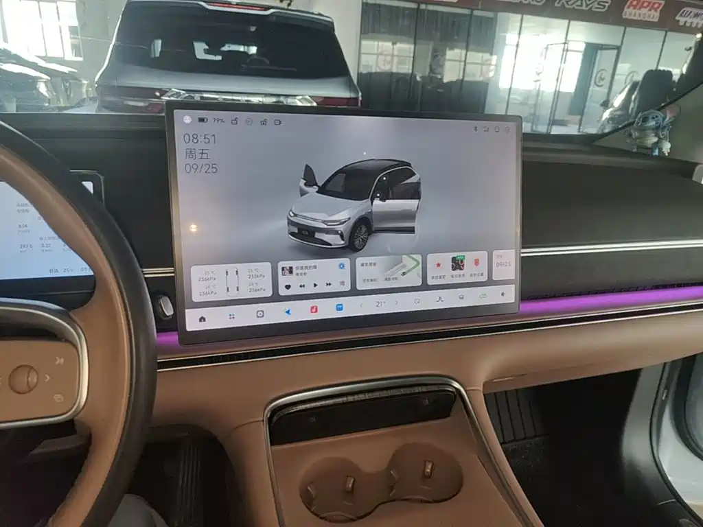 Leapmotor Leapmotor C11 — миниатюра 13