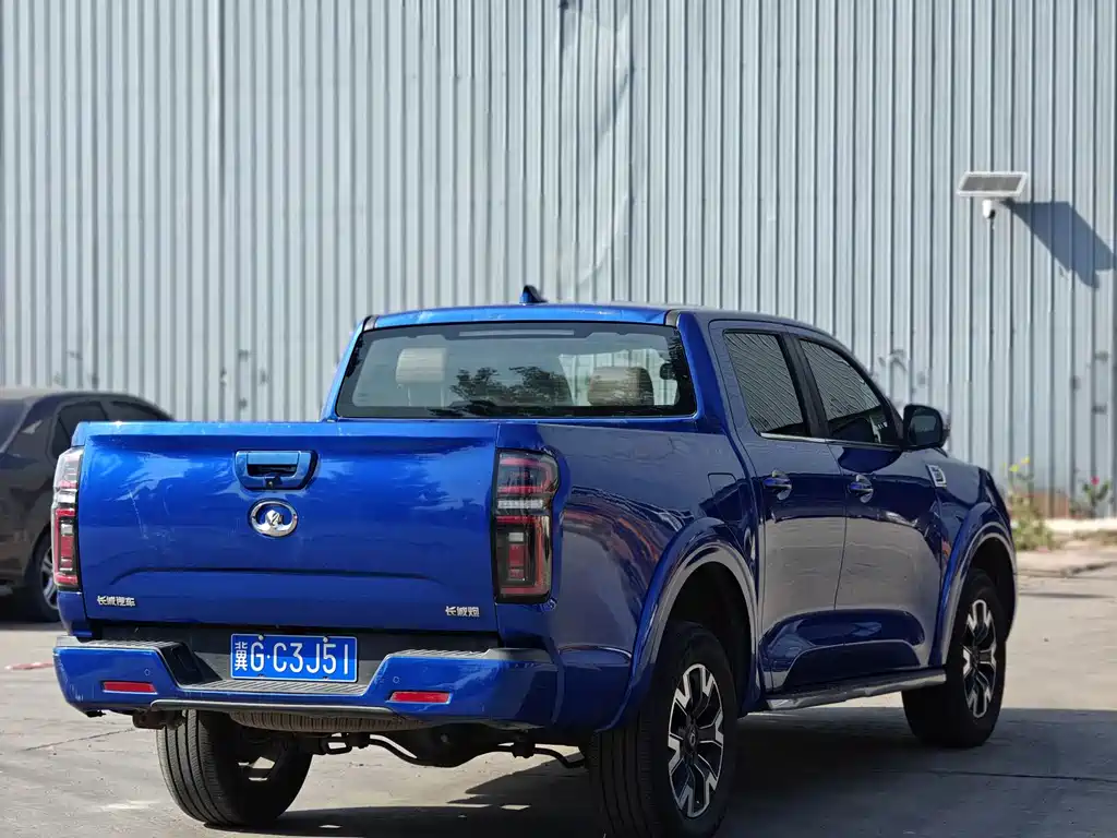 Great Wall Pao — миниатюра 8