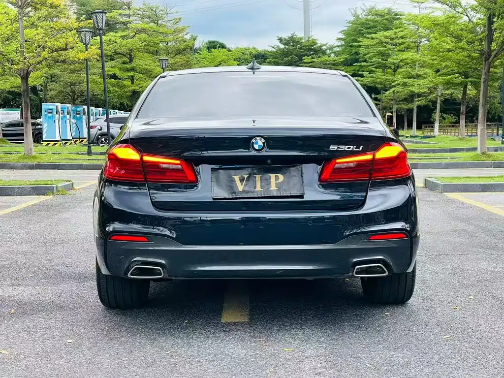 BMW 5 Series — миниатюра 5