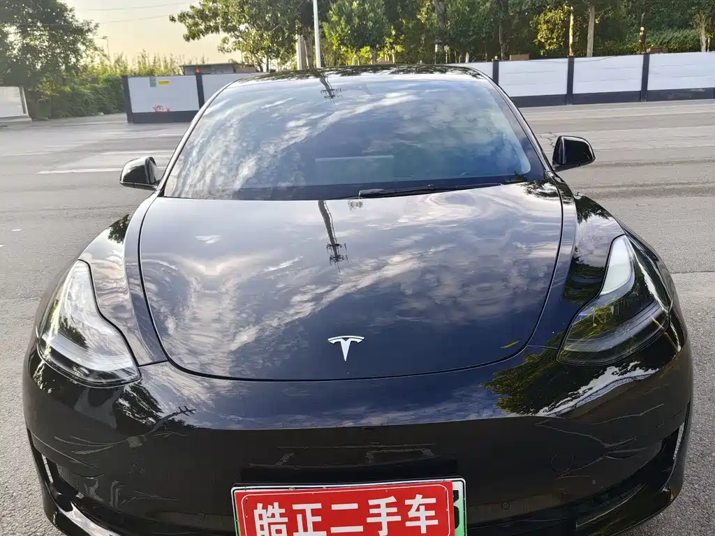 Tesla Model 3 — миниатюра 2