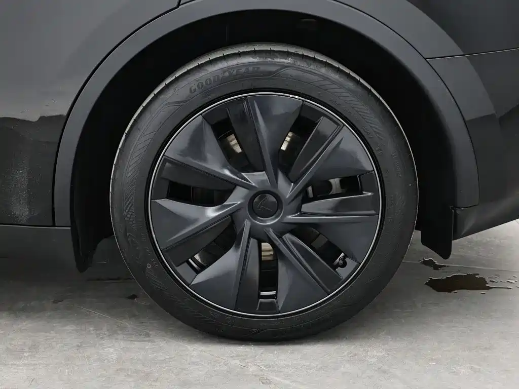 Tesla Model Y — миниатюра 9