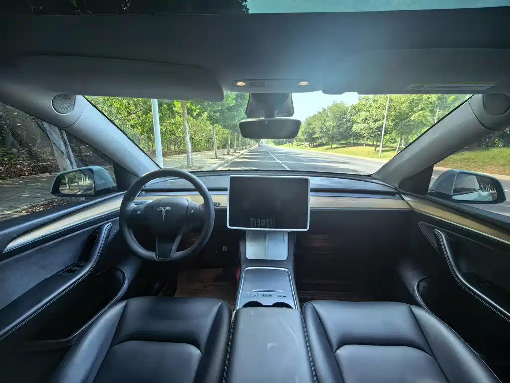 Tesla Model Y — миниатюра 7