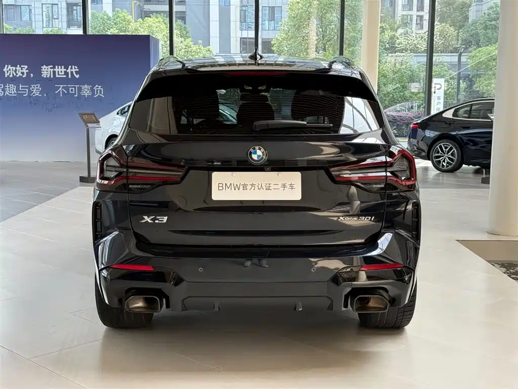 BMW X3 — миниатюра 7