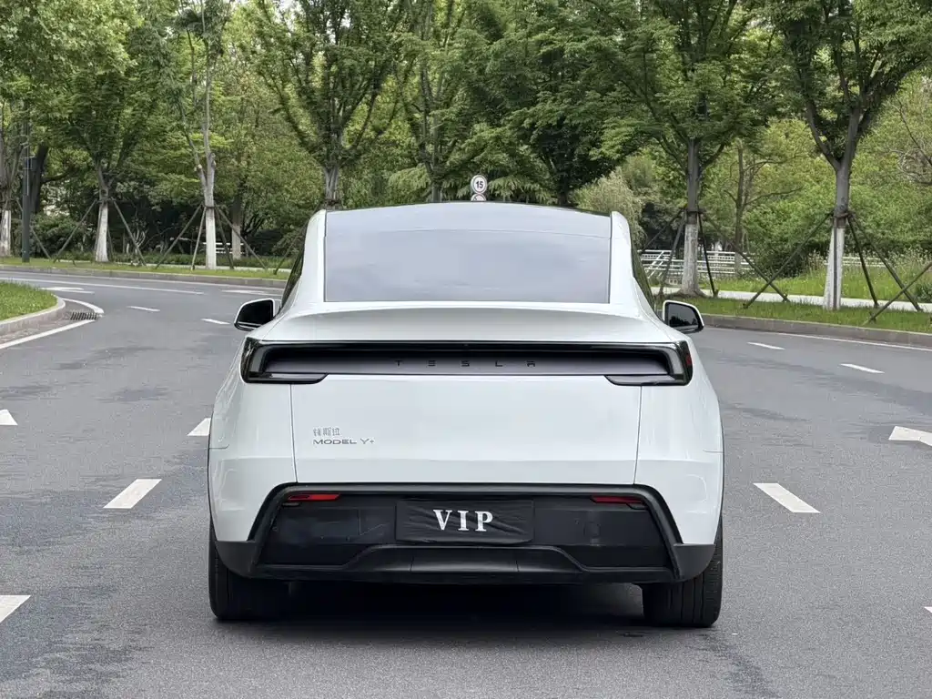 Tesla Model Y — миниатюра 11