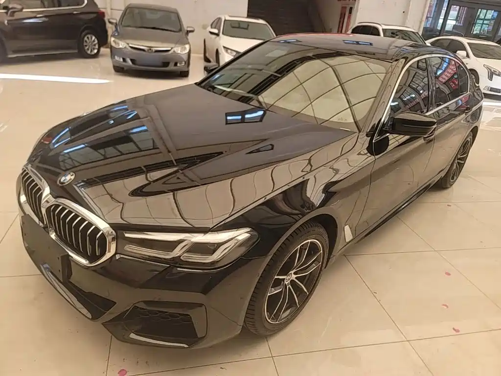 BMW 5 Series — миниатюра 2
