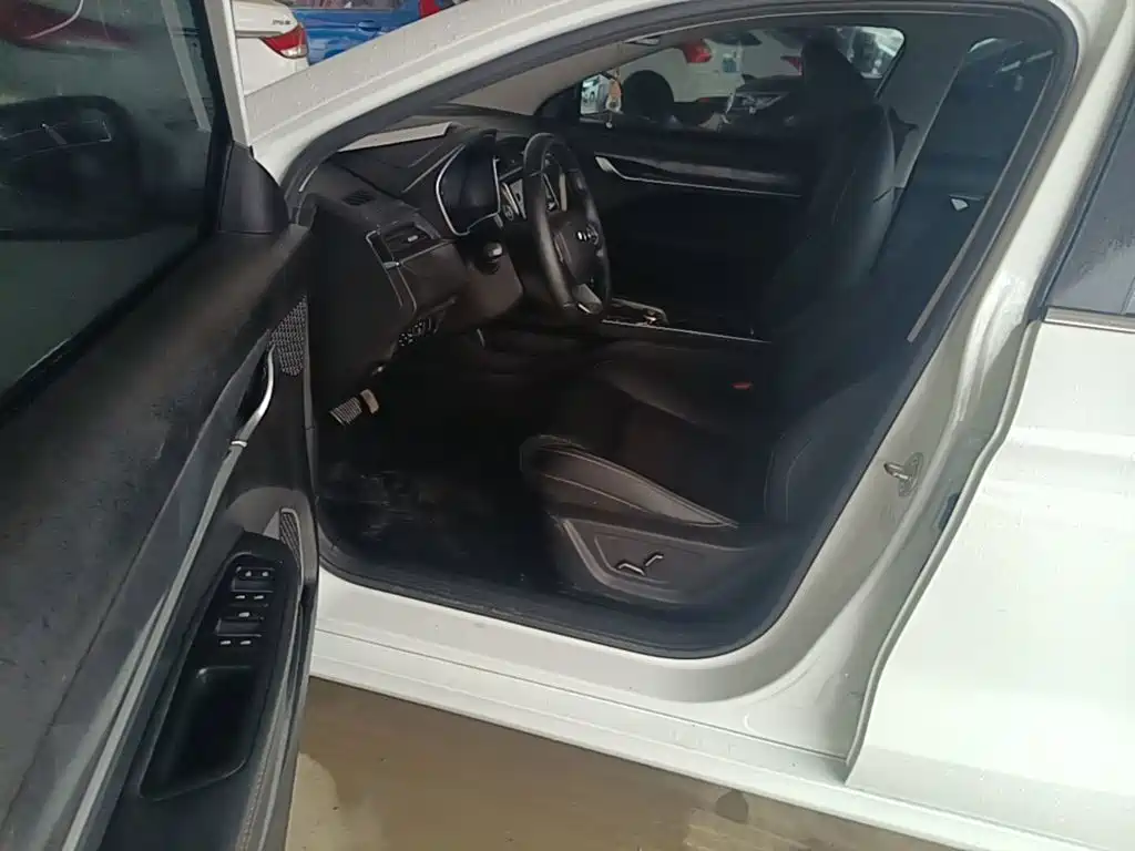 Geely Binrui — миниатюра 16