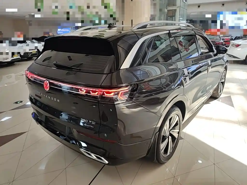 Volkswagen Tavendor — миниатюра 7