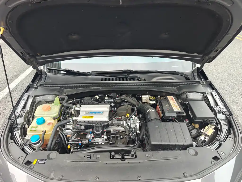 GAC Motor Shadow Leopard — миниатюра 19