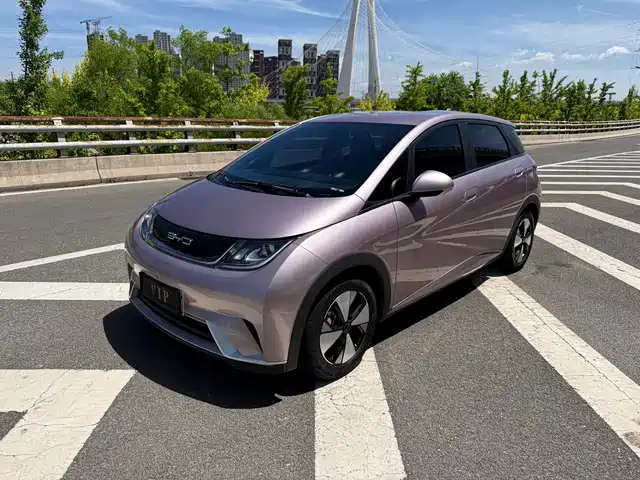 2023 BYD Dolphin