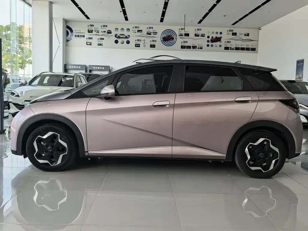 BYD Dolphin — миниатюра 4