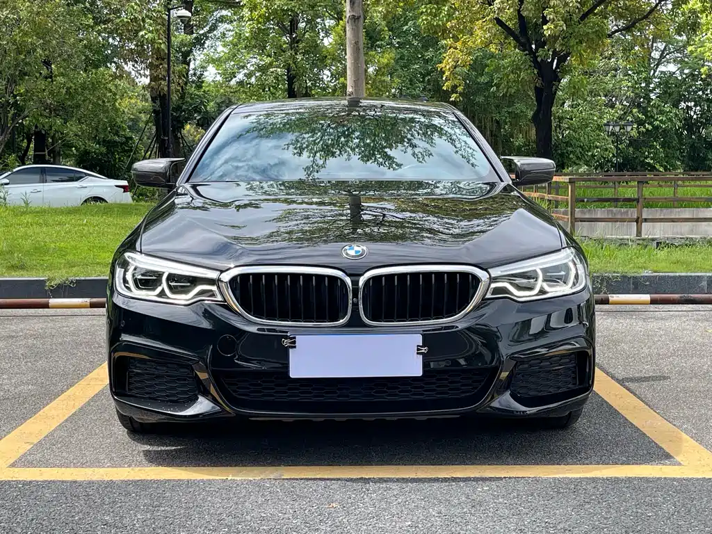 BMW 5 Series 5 2020 530Li Premium M Sport