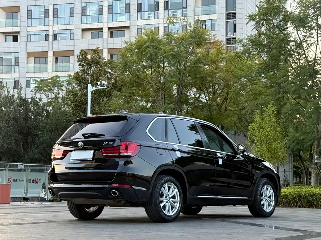 BMW X5 (Import) — миниатюра 7