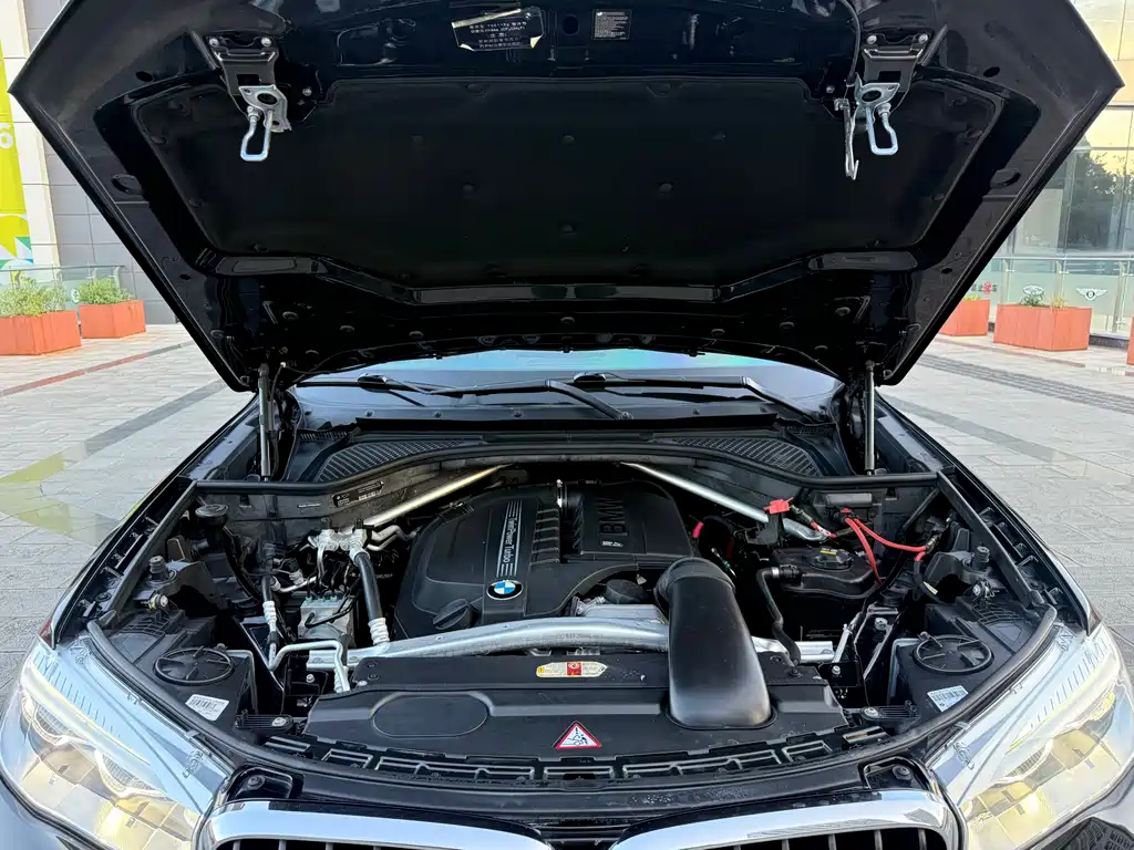 BMW X5 (Import) — миниатюра 11