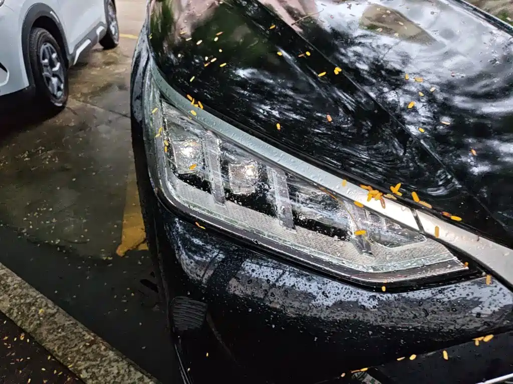 BYD PLUS New Energy — миниатюра 7