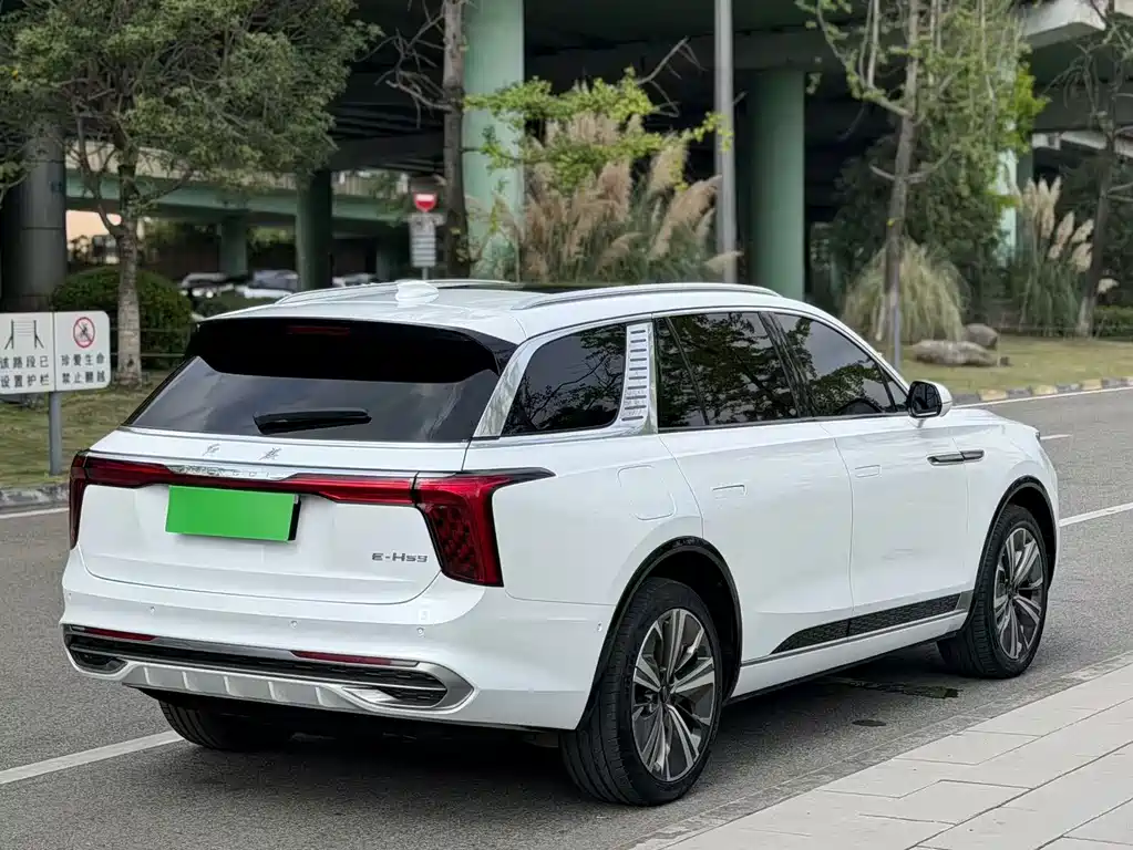 Hongqi Hongqi E-HS9 — миниатюра 11