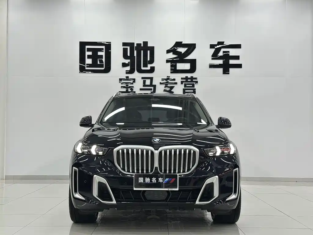 BMW X5 — миниатюра 2
