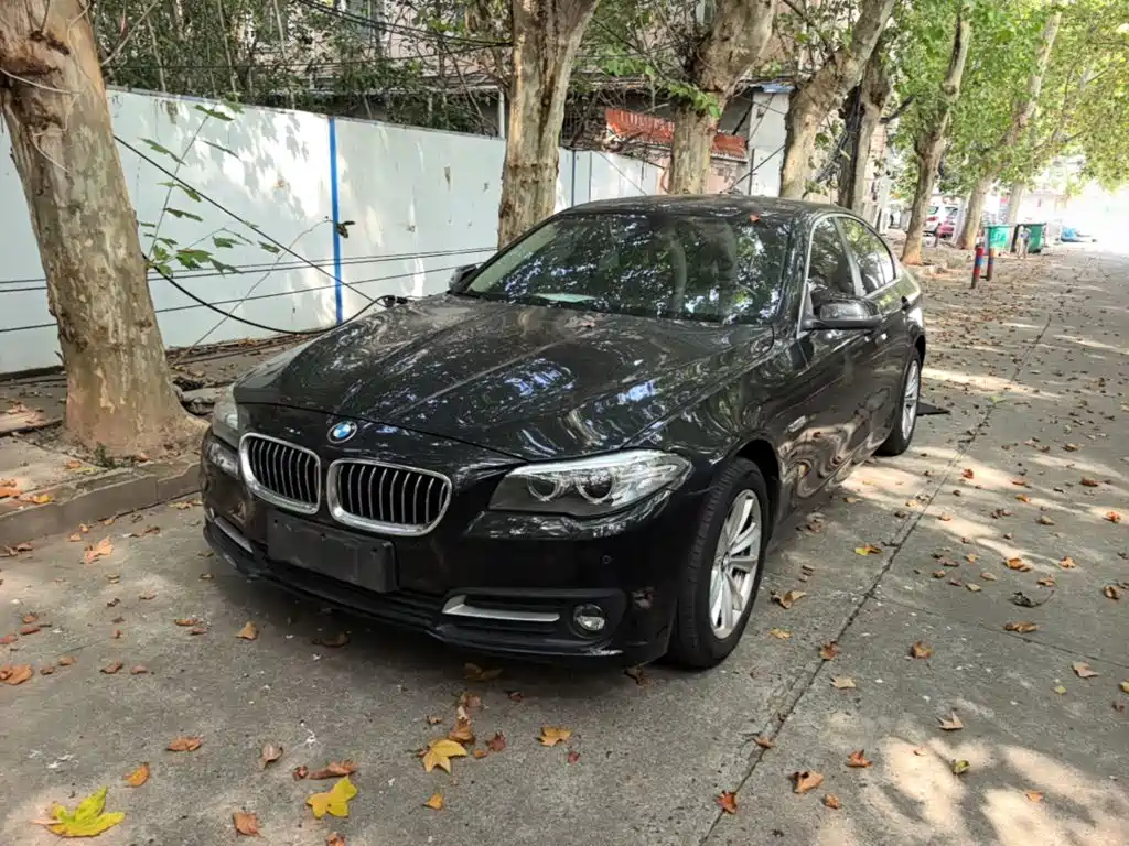 BMW 5 Series (Import) — миниатюра 2
