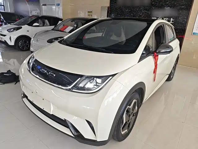 2023 BYD Dolphin