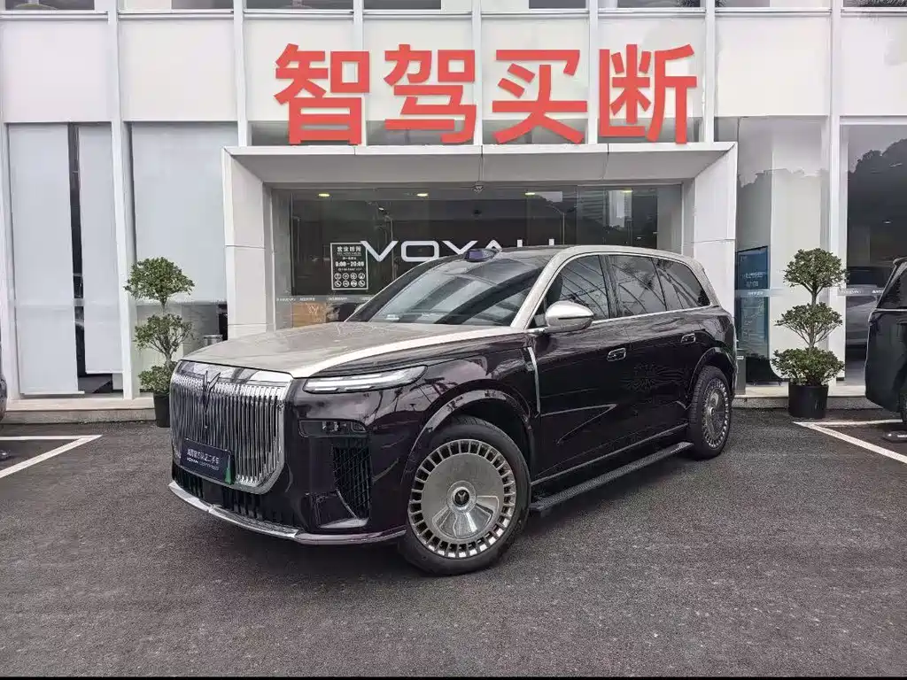 VOYAH Taishan — миниатюра 2