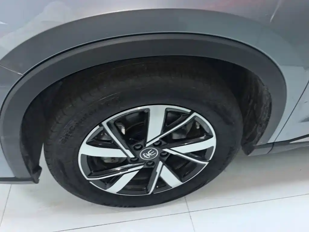 BYD Pro New Energy — миниатюра 23