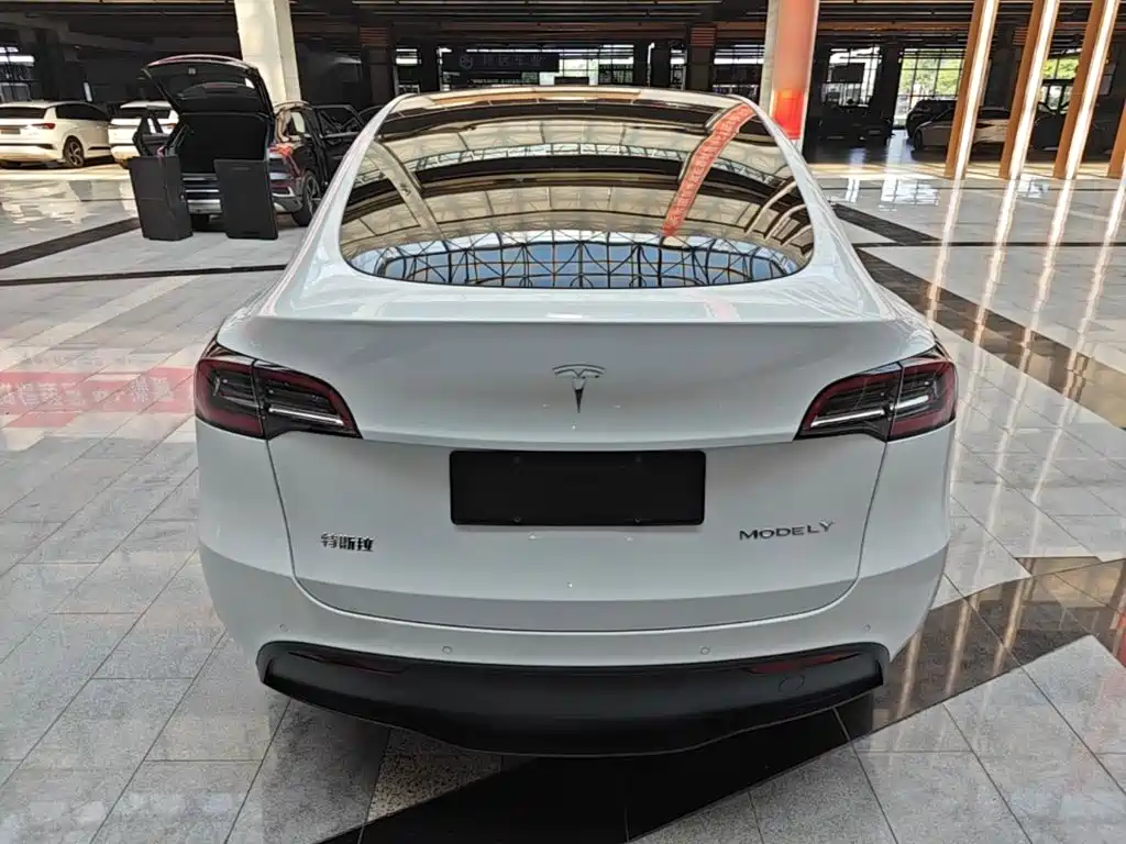 Tesla Model Y — миниатюра 6
