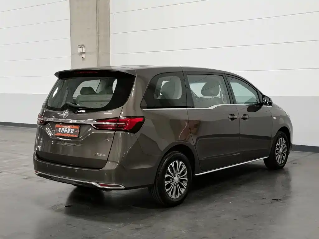 Buick GL8 — миниатюра 2