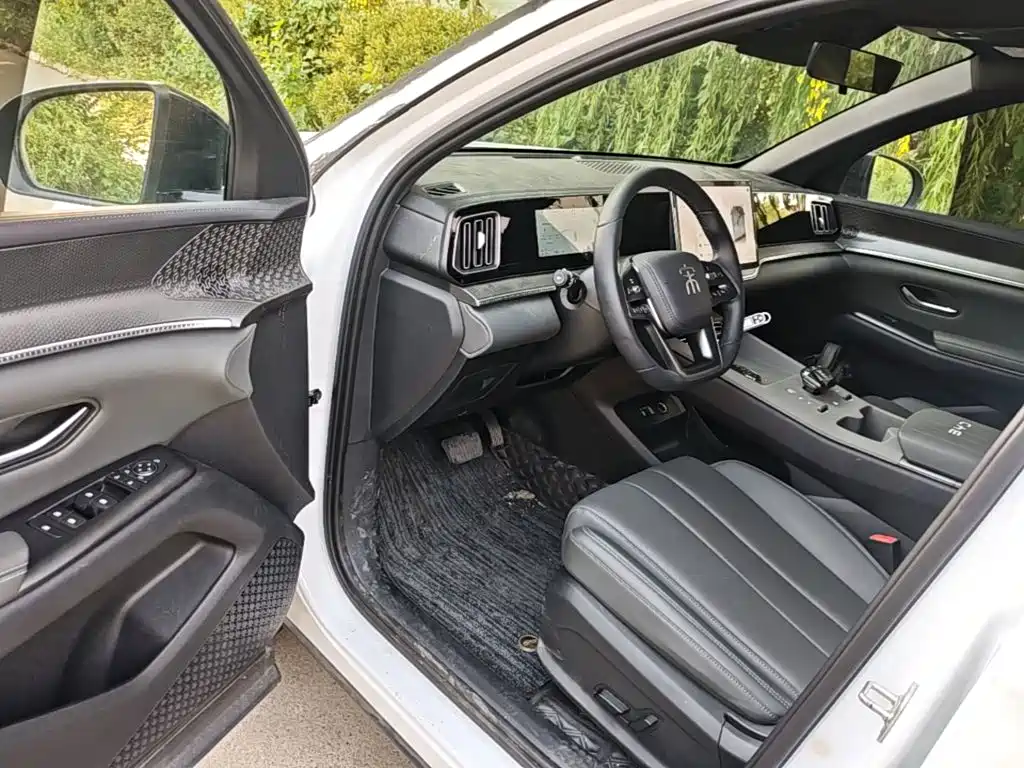 BYD Pro New Energy — миниатюра 16