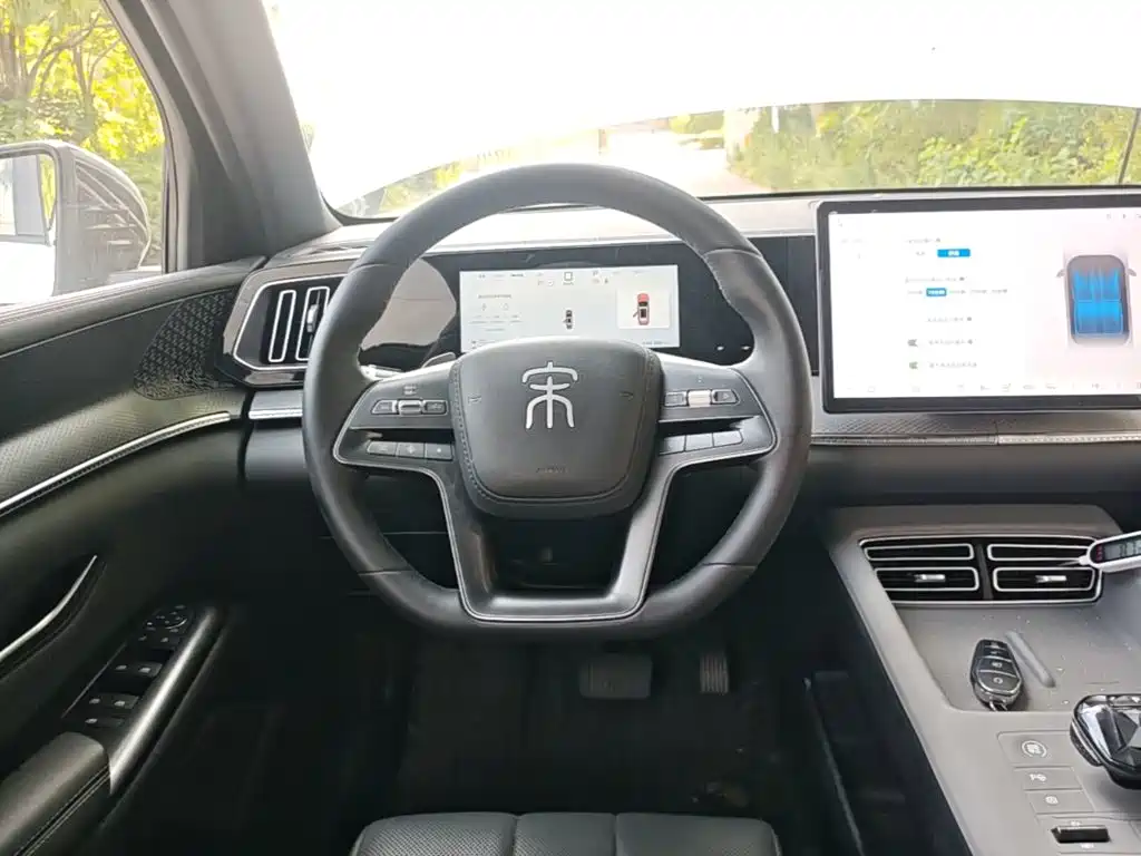 BYD Pro New Energy — миниатюра 11