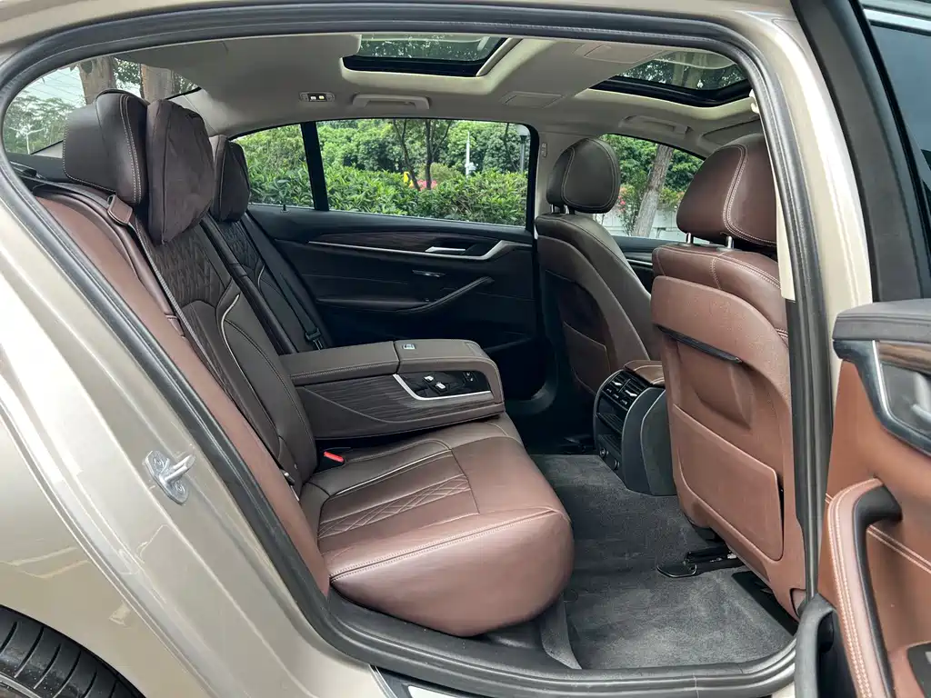 BMW 5 Series 5 2019 530Li Lead Luxury
