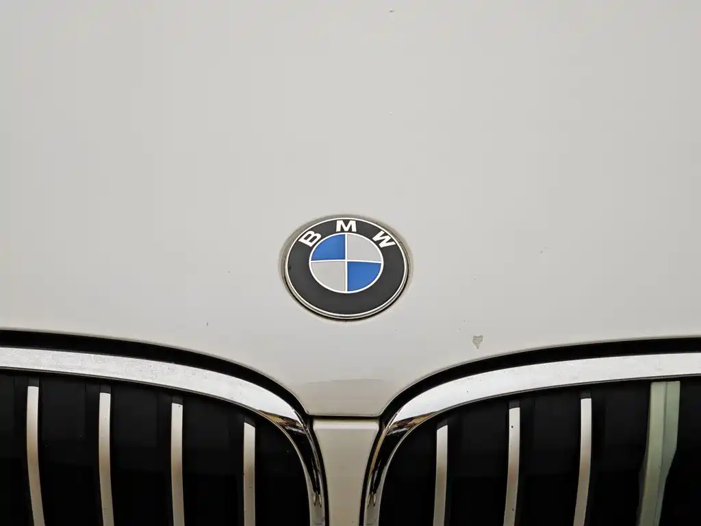 BMW X1 2019 sDrive18Li Fashion