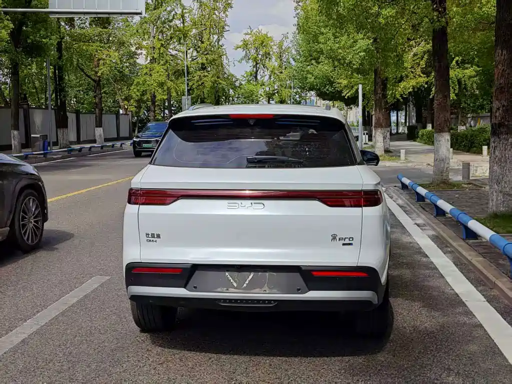 BYD Pro New Energy — миниатюра 8