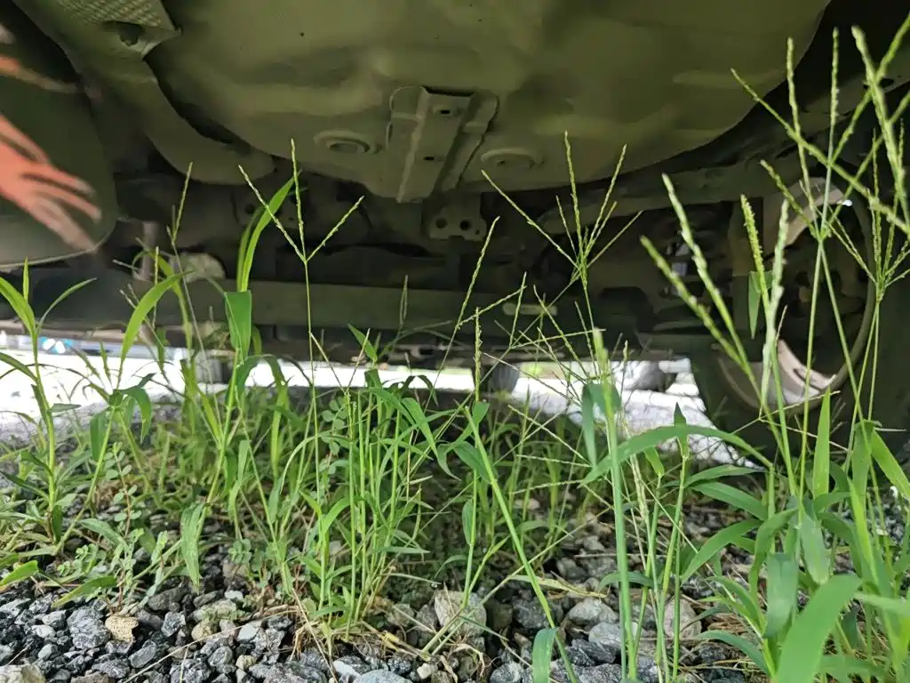 Chevrolet Cavalier — миниатюра 25