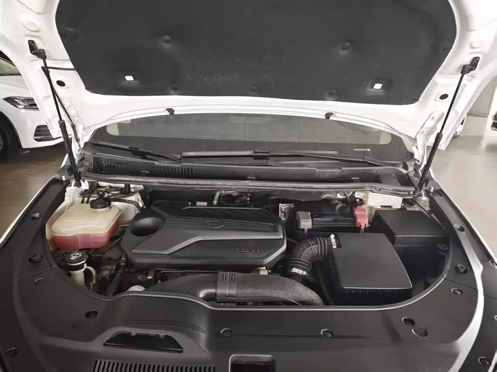 BYD MAX — миниатюра 20