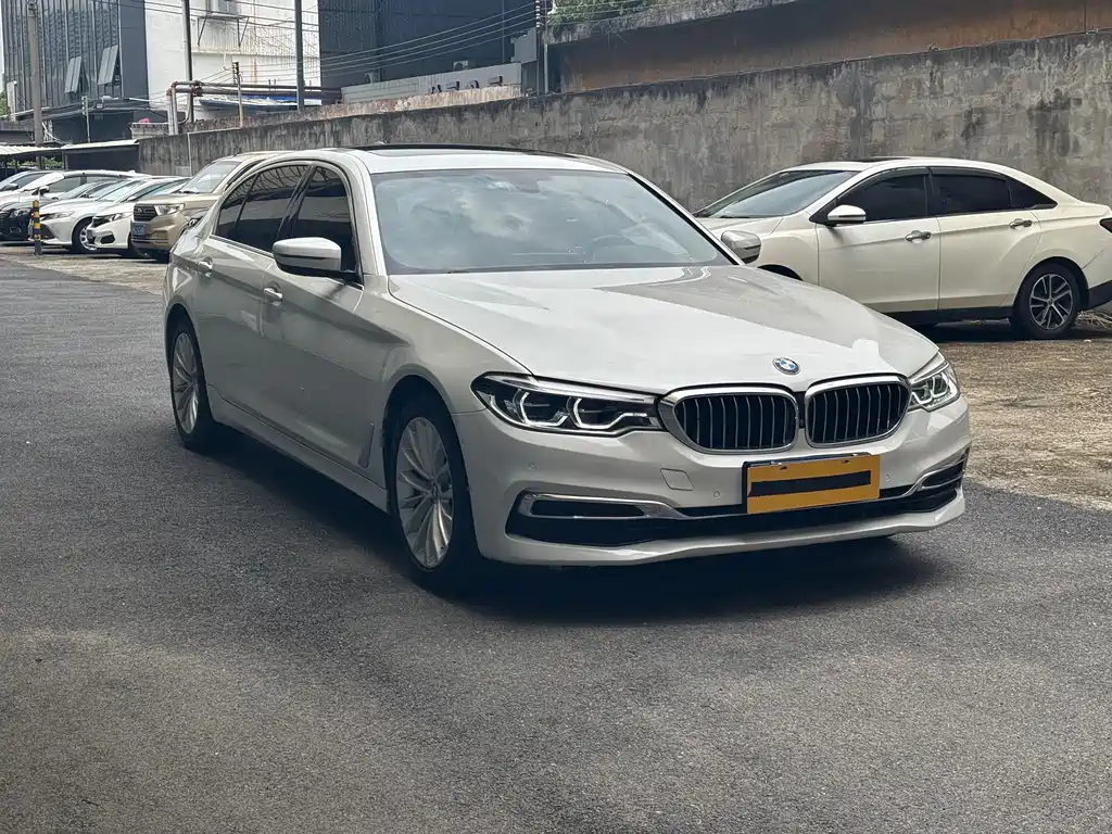 BMW 5 Series 5 2020 530Li Lead Luxury