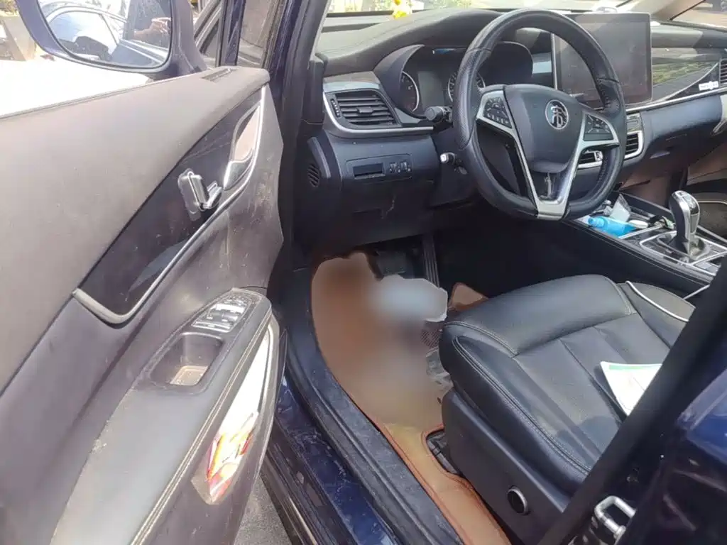 BYD MAX — миниатюра 14