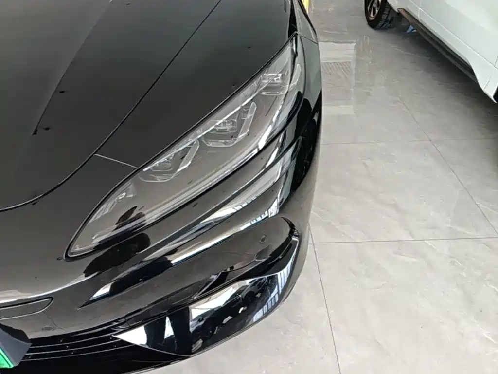 Denza Denza Z9 — миниатюра 24