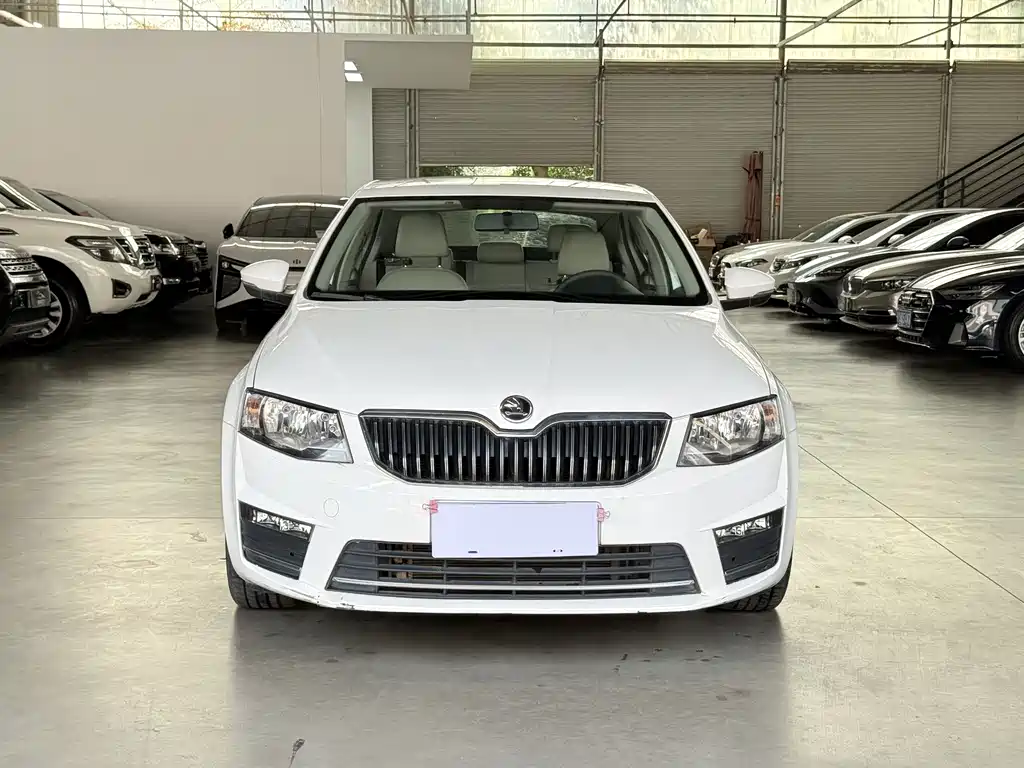 Skoda Octavia — миниатюра 2