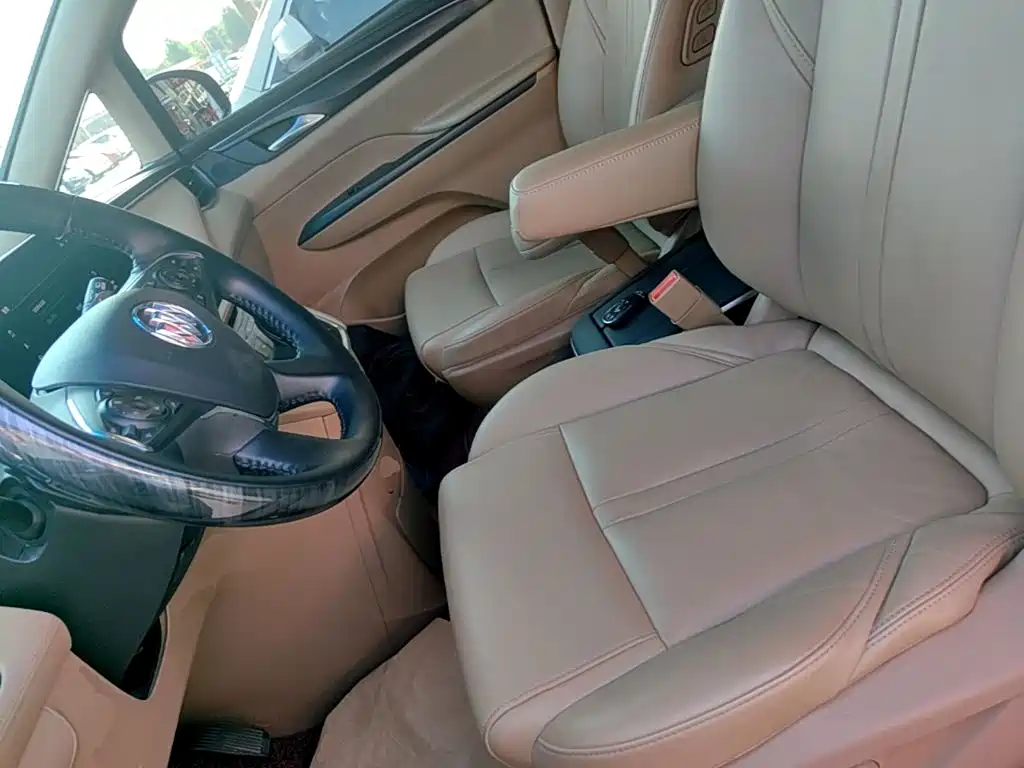 Buick GL8 — миниатюра 15