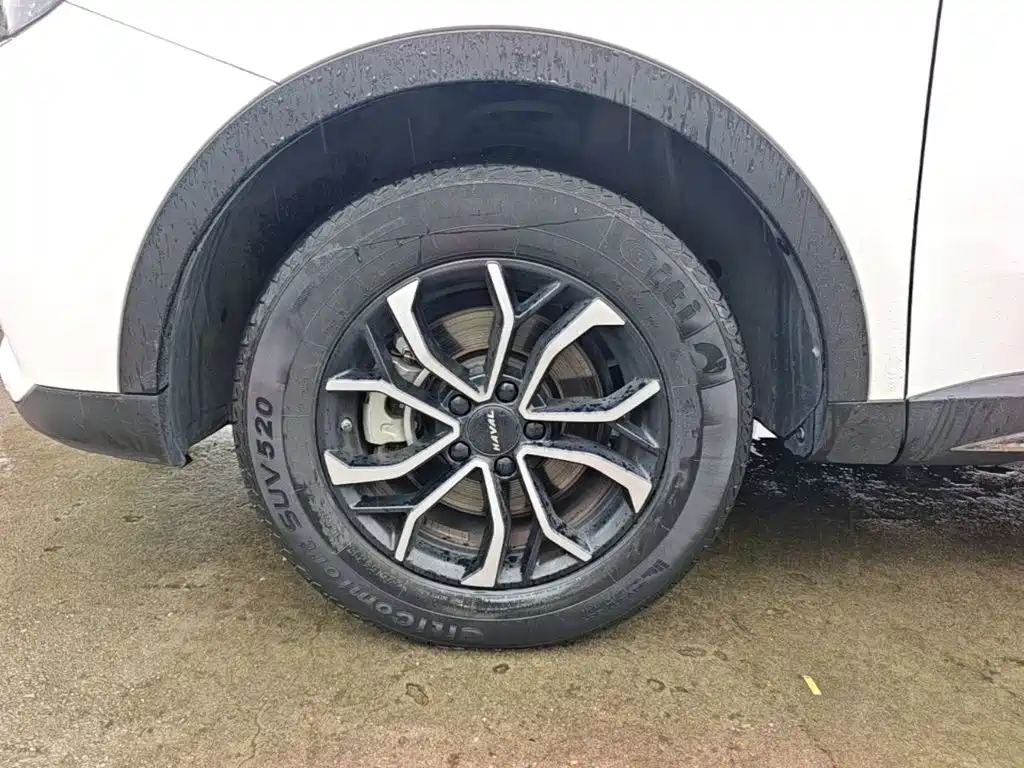 Haval H6 — миниатюра 23