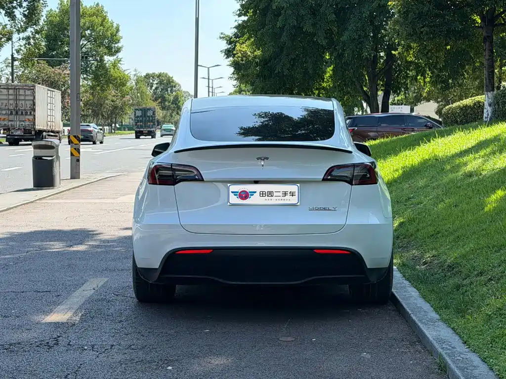 Tesla Model Y — миниатюра 5
