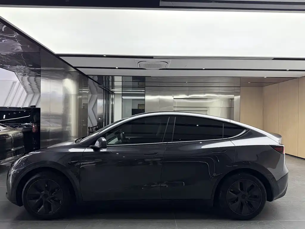 Tesla Model Y — миниатюра 13