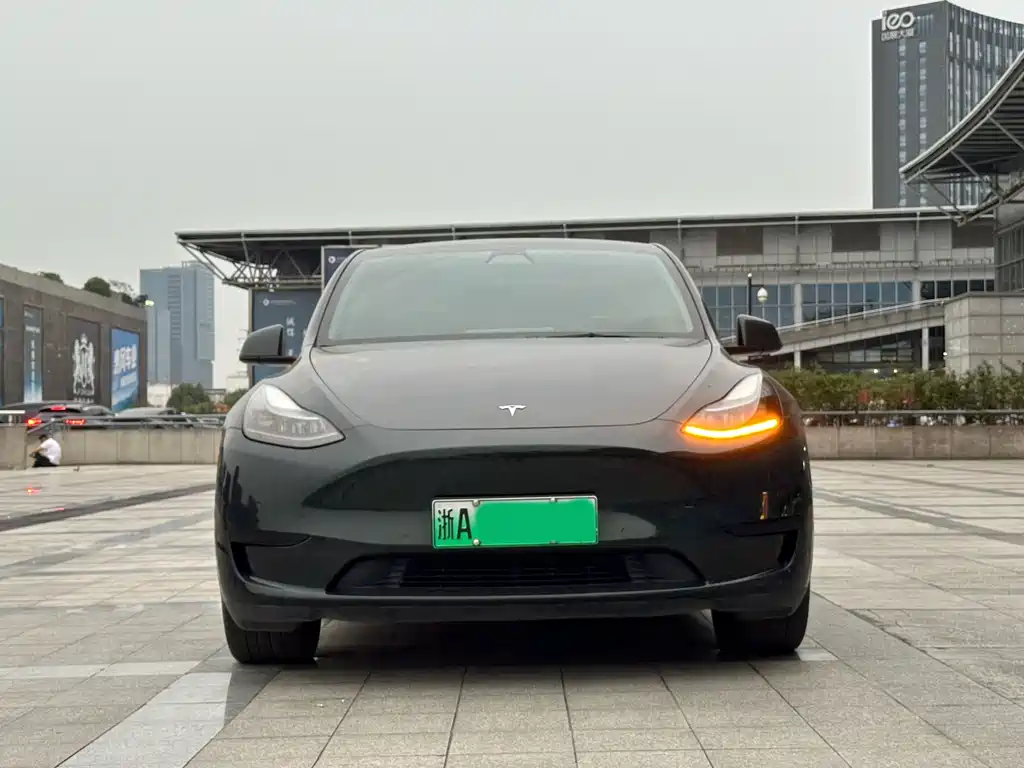 Tesla Model Y — миниатюра 2