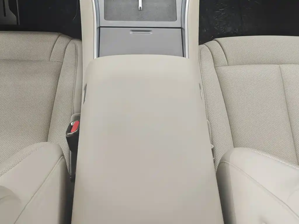 Denza Denza N8L — миниатюра 14