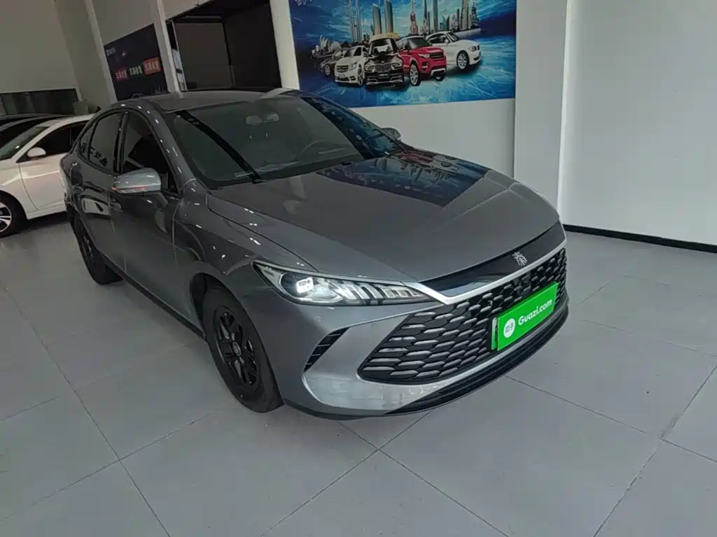 BYD Qin Plus PLUS 2025 DM-i Smart Drive 55KM Lead