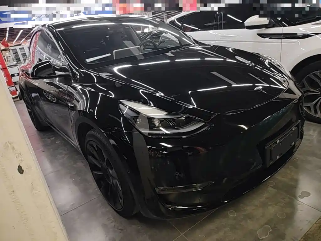 Tesla Model Y — миниатюра 4