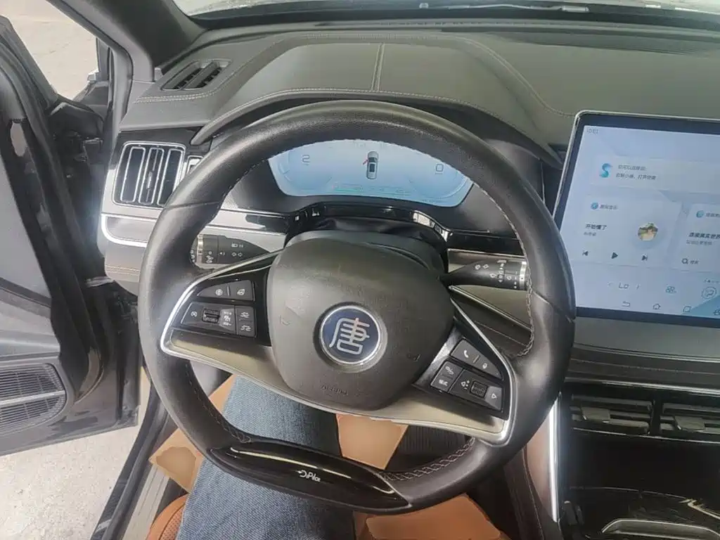 BYD Tang New Energy — миниатюра 11