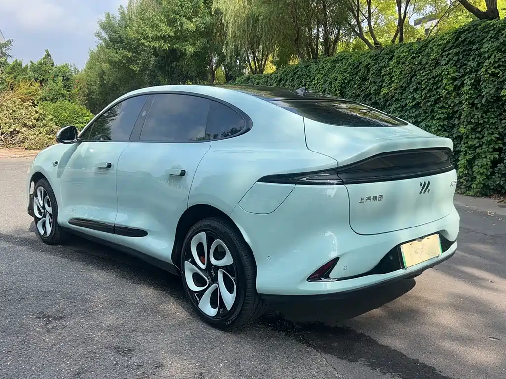 IM IM LS6 — миниатюра 7