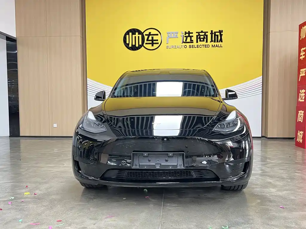 Tesla Model Y — миниатюра 2